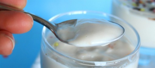 Vanilla Pudding 042