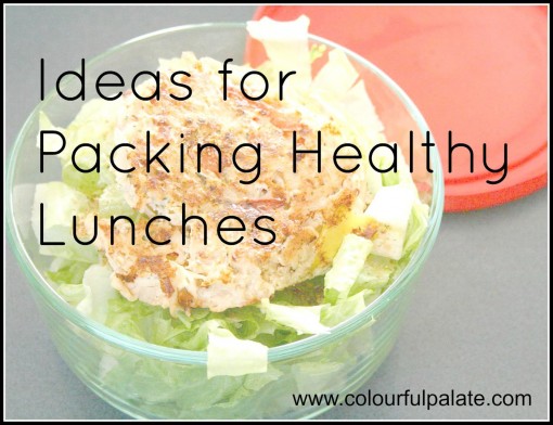 Ideas for Packing Healthy Lunches for Work or School