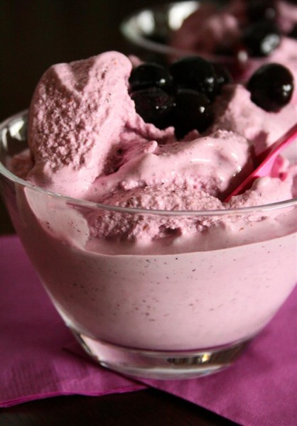 Blueberry Frozen Yogurt Recipe