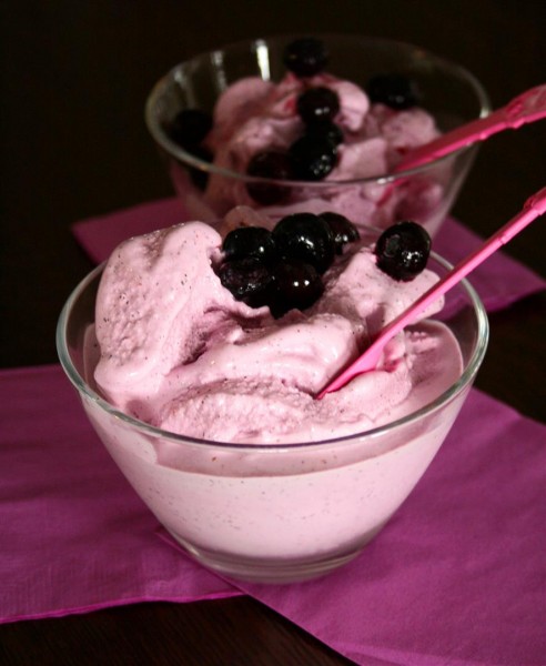 Low Carb Blueberry Frozen Yogurt