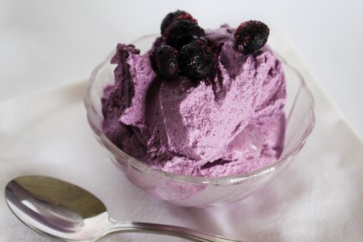 THM low carb blueberry icecream recipe