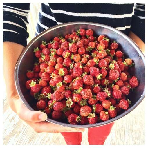 Summer Strawberries