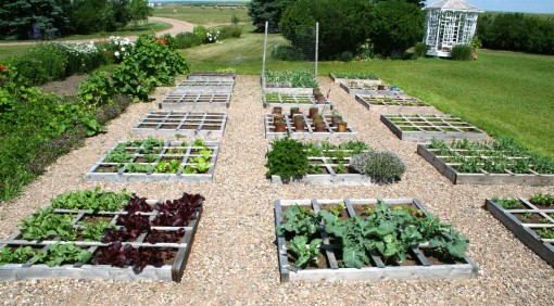 Square Foot Garden 01