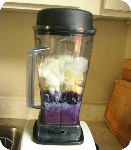 Wild Blueberry Shake 2 (3)