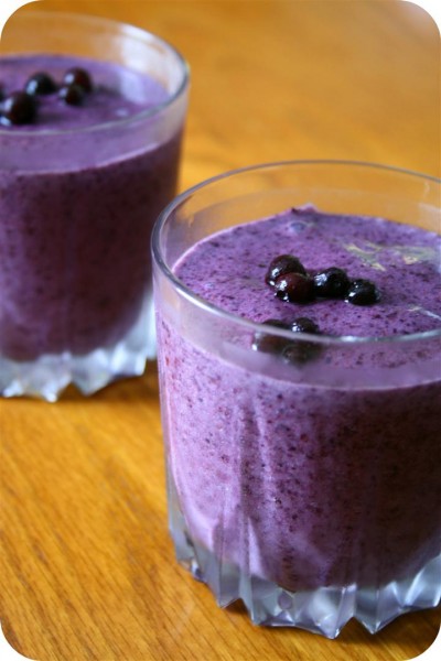 Wild Blueberry Shake 2 (5) Wild Blueberry Shake 2 (5)
