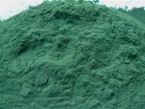 spirulina-1