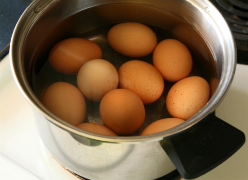 Hard boiled eggs for school snacks