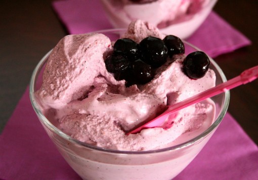 No Sugar Blueberry Frozen Yogurt