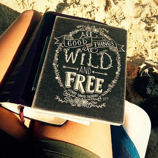 All Good Things are Wild and Free