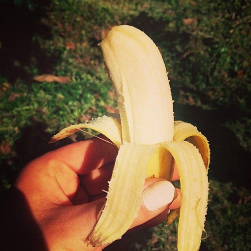 Fresh banana from the tree