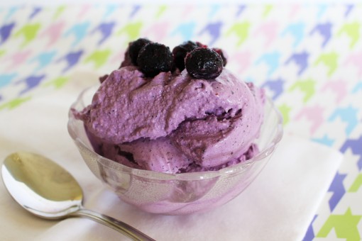 Low carb blueberry ice cream